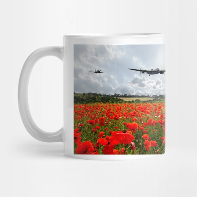 Poppy Flypast by aviationart